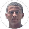 Toledo Kauan, Forward for Botafogo
