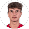 Karol Tokarczyk, Midfielder for Wisła Kraków
