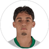 A. Houary, Forward for Elche CF