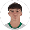 Albert Niculaesei, Defender for Elche CF
