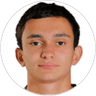 A. Mkrtchyan, Midfielder for Ararat