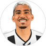 Allan, Midfielder for Botafogo