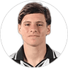 Alvaro Montoro, Midfielder for Botafogo