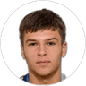 Lion Beqiri, Forward for Falkenberg