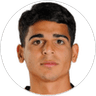 A. Aslanyan, Attacker for Ararat