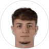 E. Nicolosi, Defender for Palermo