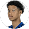 Alexander Rossing-Lelesiit, Defender for Hamburger SV
