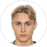 Leo Ostman, Forward for Elfsborg
