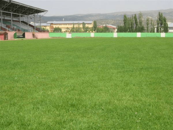 Bingöl Şehir Stadyumu, home stadium of 12 Bingölspor