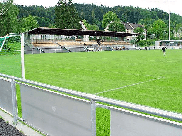 Paul-Grüninger-Stadion, home stadium of Brühl
