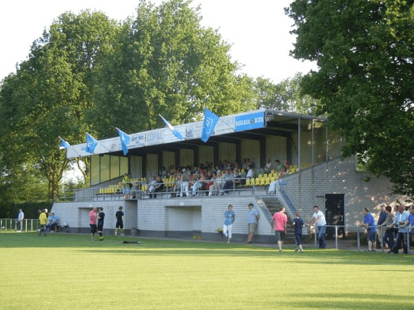 Sportpark De Walzaad veld 1, home stadium of Nemelaer