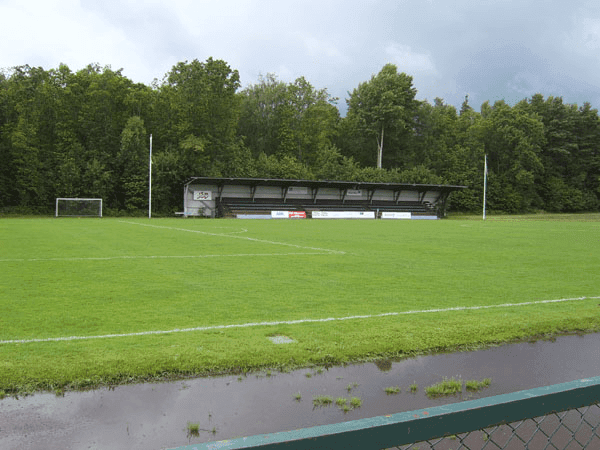 Asarums IP, home stadium of Asarum