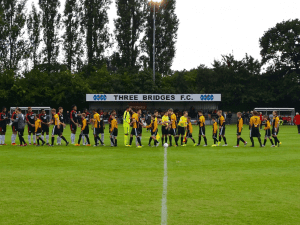 Jubilee Field, home stadium of Three Bridges