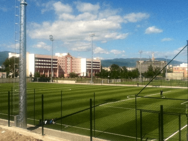 Vitali Daraselias Sakhelobis Dinamos Sapekhburto Akademia, home stadium of Dinamo Tbilisi II