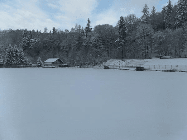 Stadionul Bucegi, home stadium of Olimpic Cetate