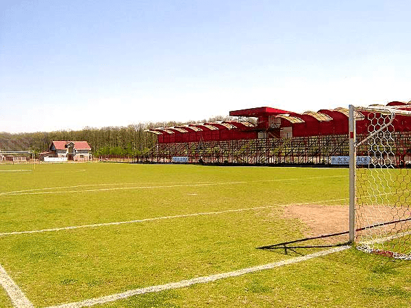 Stadionul Voinţa, home stadium of Viitorul Domneşti