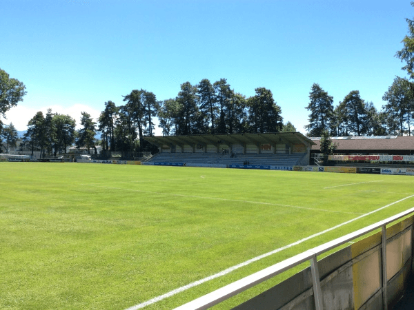 Waldstadion Hard, home stadium of Hard