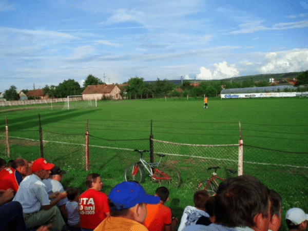 Stadionul Şoimii, home stadium of Şoimii Pâncota