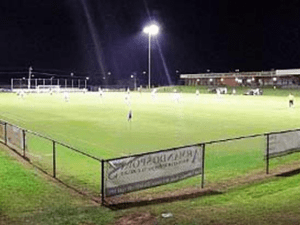 D. Leleń